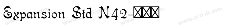 Expansion Std N42字体转换